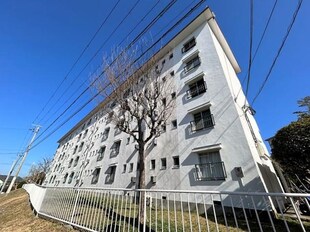 鈴蘭台第５団地　７号棟の物件外観写真